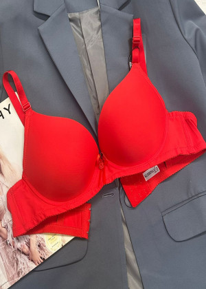 Бюстгальтер 134209