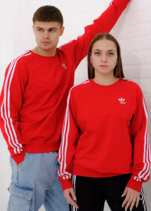 Толстовка 137583