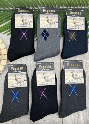 Носки 10пар 146616