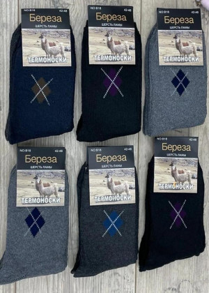 Носки 10пар 146624