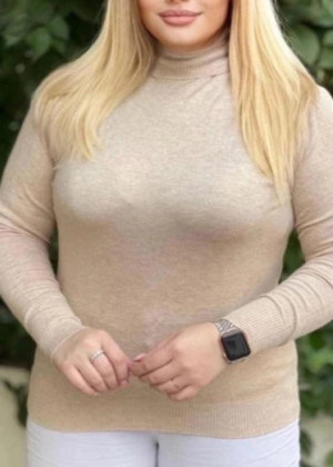 Водолазка 150291