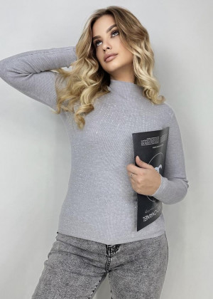 Водолазка 152146