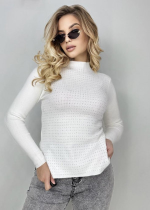 Водолазка 152147