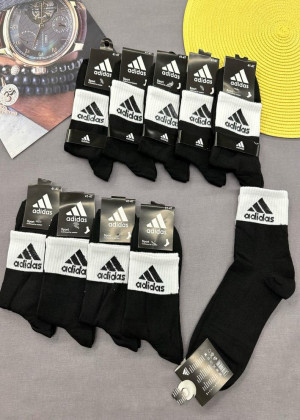 Носки 10пар 152541