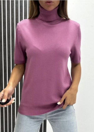 Водолазка 156148