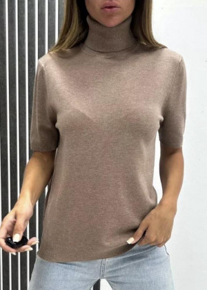 Водолазка 156149