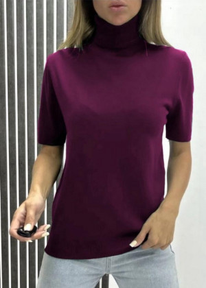 Водолазка 156151