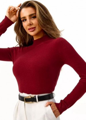 Водолазка 156153