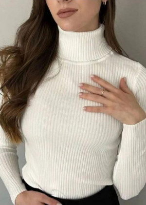 Водолазка 156165