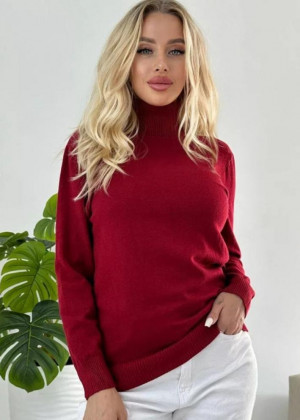 Водолазка 156172