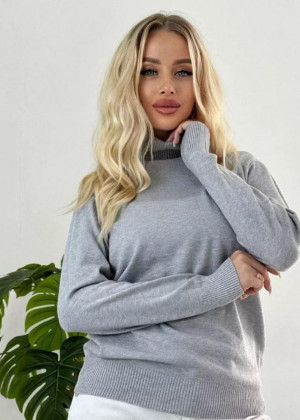 Водолазка 156173