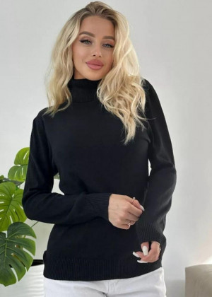 Водолазка 156176