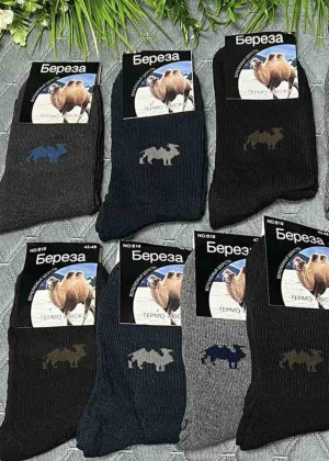 Носки 10пар 157215