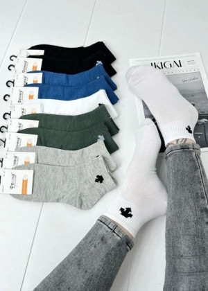 Носки 10пар 157305