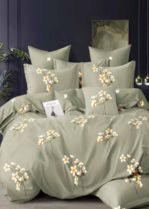 Постельное белье 157502