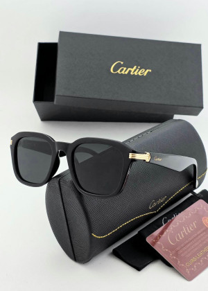 Мужские солнцезащитные очки 160192