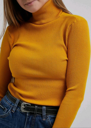 Водолазка 161125