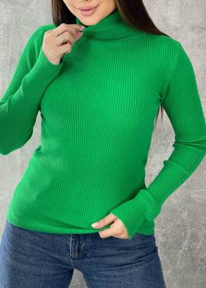 Водолазка 161126