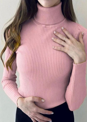 Водолазка 161128