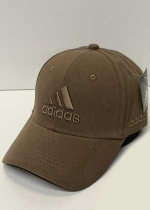 Бейсболка 170118